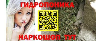 прущие грибы Апшеронск