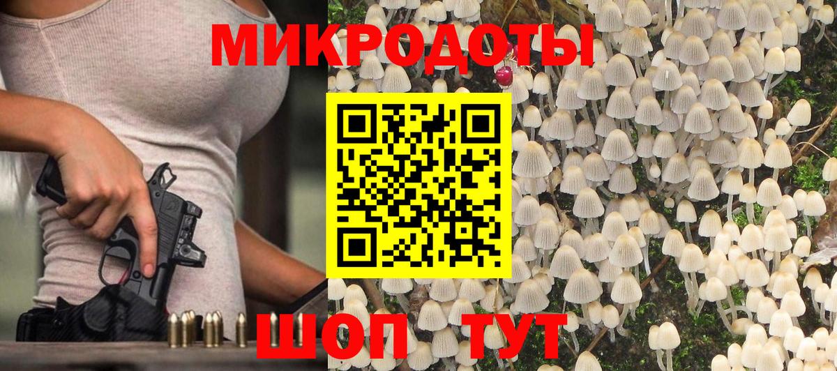 Галлюциногенные грибы Cubensis  Вход с VPN  Артём  Галлюциногенные грибы MAGIC MUSHROOMS 
