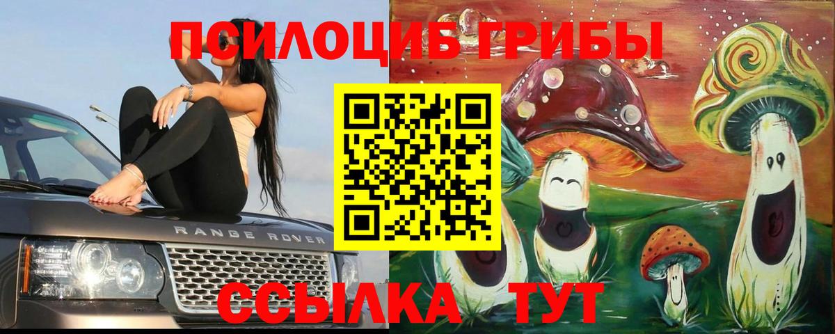 Псилоцибиновые грибы Psilocybine cubensis Артём
