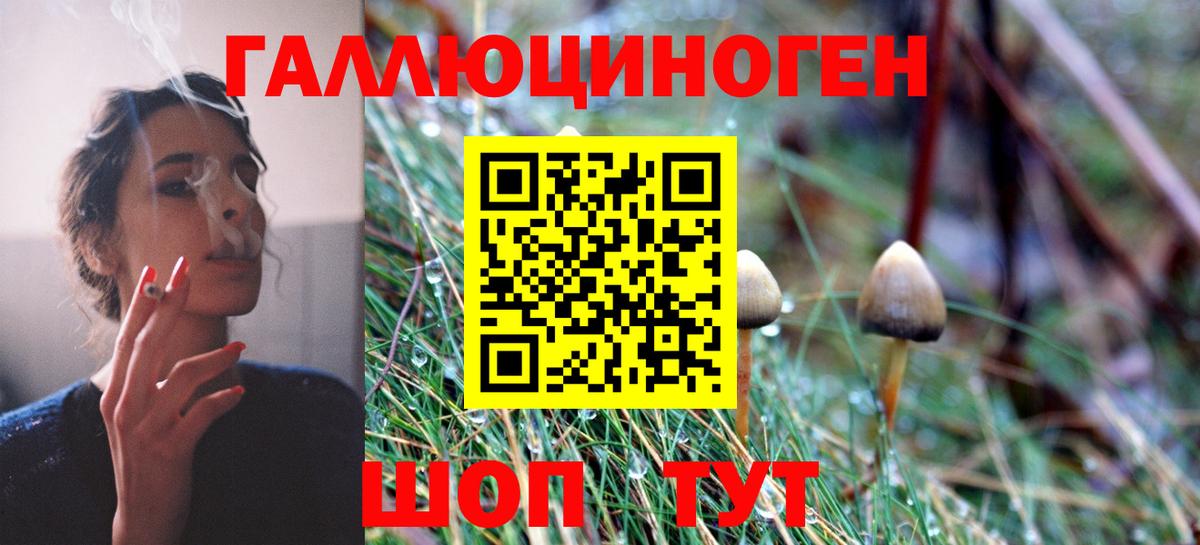 Галлюциногенные грибы мицелий  Артём  купить  сайты  Псилоцибиновые грибы Psilocybine cubensis 